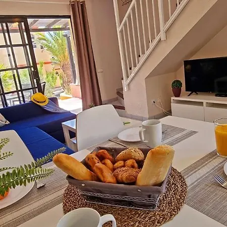 C23 Oasis - - Glasfaserinternet