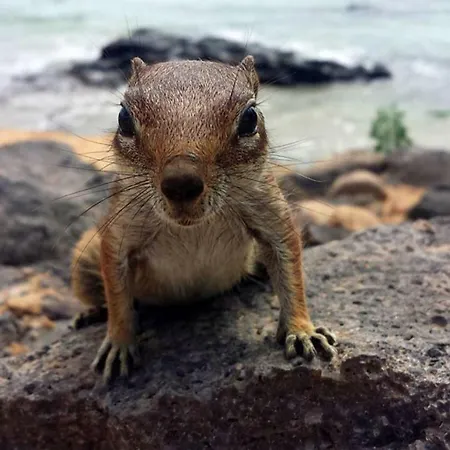 C23 Oasis - - Glasfaserinternet Κόστα Κάλμα