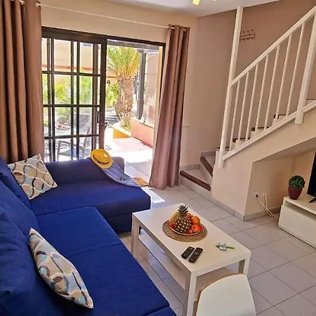 C23 Oasis - - Glasfaserinternet